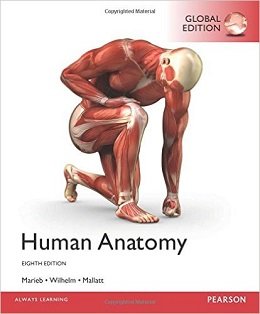 دانلود کتاب آناتومی انسان ماریب (ویرایش ۲۰۱۷) Human Anatomy, 8ed