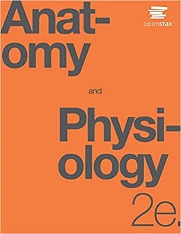 دانلود کتاب آناتومی و فیزیولوژی Anatomy and Physiology, 2ed