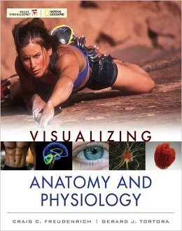 دانلود کتاب تجسم آناتومی و فیزیولوژی Visualizing Anatomy and Physiology, 1ed