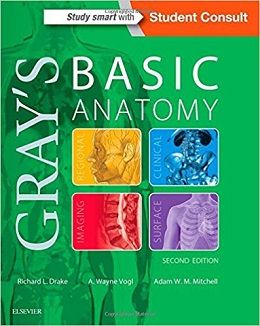 دانلود کتاب آناتومی پایه گری (ویرایش ۲۰۱۸) Gray’s Basic Anatomy, 2ed