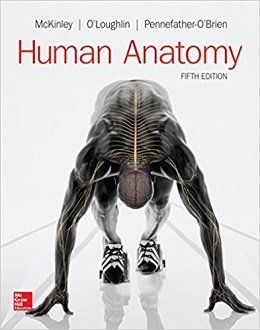 دانلود کتاب آناتومی انسان اوبرین (ویرایش ۲۰۱۷) Human Anatomy, 5ed