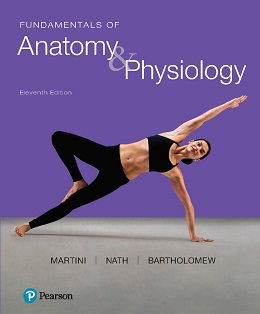 دانلود کتاب اصول آناتومی و فیزیولوژی مارتینی (ویرایش ۲۰۱۸) Fundamentals of Anatomy & Physiology, 11ed