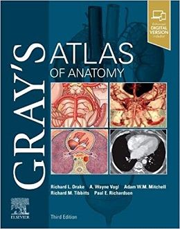 دانلود کتاب اطلس آناتومی گری Gray’s Atlas of Anatomy, 3ed