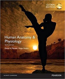 دانلود کتاب آناتومی و فیزیولوژی انسان ماریئب Human Anatomy & Physiology, 10ed