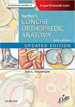 دانلود کتاب آناتومی ارتوپدی تشریحی نتر Netter’s Concise Orthopaedic Anatomy, 2ed
