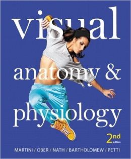 دانلود کتاب آناتومی و فیزیولوژی بصری Visual Anatomy & Physiology, 2ed