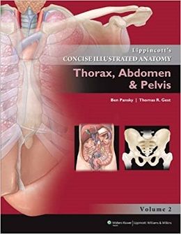 دانلود کتاب آناتومی مصور مختصر لیپینکات: قفسه سینه، شکم و لگن Lippincott’s Concise Illustrated Anatomy: Thorax, Abdomen & Pelvis, 1ed