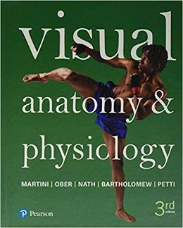 دانلود کتاب آناتومی و فیزیولوژی بصری Visual Anatomy & Physiology, 3ed