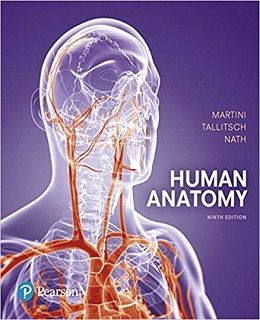 دانلود کتاب آناتومی انسان مارتینی Human Anatomy, 9ed