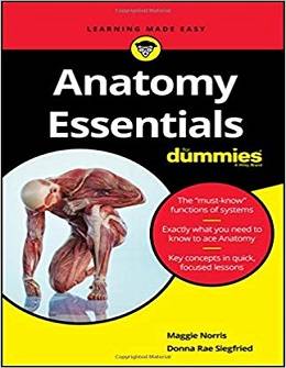 دانلود کتاب ملزومات آناتومی برای مبتدیان Anatomy Essentials For Dummies, 1ed