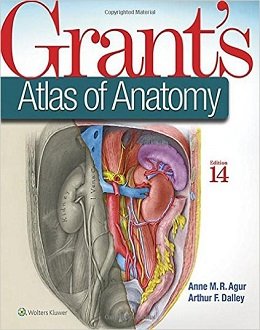 دانلود کتاب اطلس آناتومی گرانت (ویرایش ۲۰۱۷) Grant’s Atlas of Anatomy, 14ed