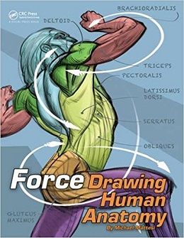 دانلود کتاب FORCE: نقاشی آناتومی انسانی FORCE: Drawing Human Anatomy, 1ed