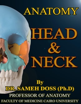دانلود کتاب آناتومی سر و گردن سامه داس Sameh Doss’s Head and Neck Anatomy