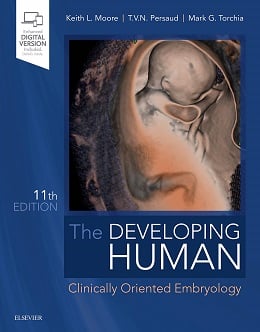 دانلود کتاب انسان در حال رشد + ویدئو The Developing Human, 11ed + Video