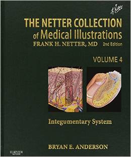 دانلود کتاب مجموعه تصاویر پزشکی نتر: دستگاه پوششی (جلد چهارم) The Netter Collection of Medical Illustrations: Integumentary System, 2ed